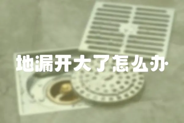 地漏開大了怎么辦