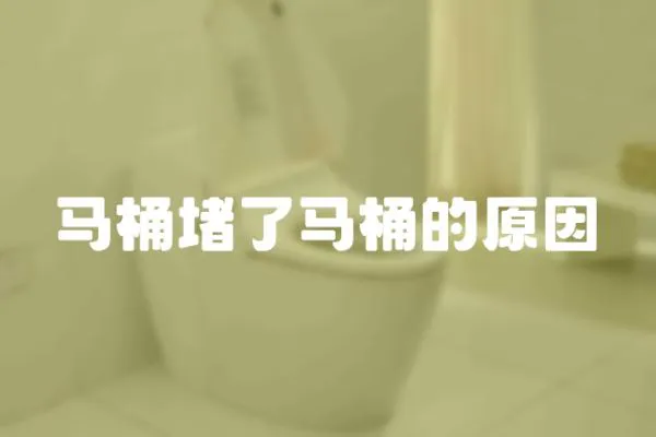 馬桶堵了馬桶的原因