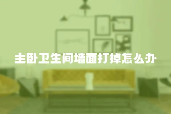 主臥衛(wèi)生間墻面打掉怎么辦