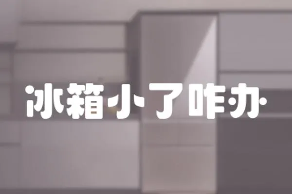 冰箱小了咋辦