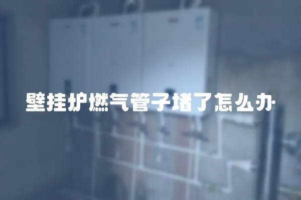 壁掛爐燃氣管子堵了怎么辦