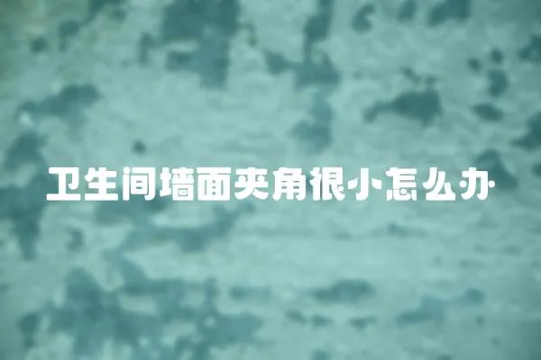 衛生間墻面夾角很小怎么辦