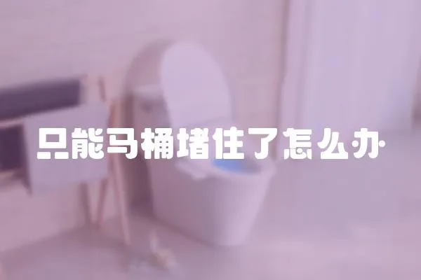 只能馬桶堵住了怎么辦
