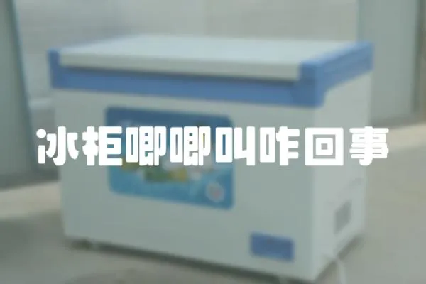 冰柜唧唧叫咋回事