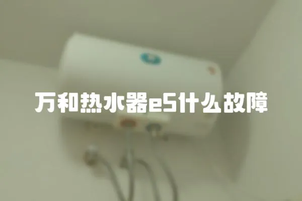 萬和熱水器e5什么故障