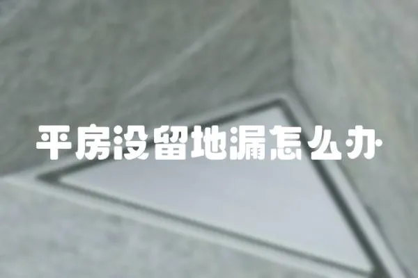 平房沒留地漏怎么辦