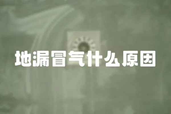 地漏冒氣什么原因