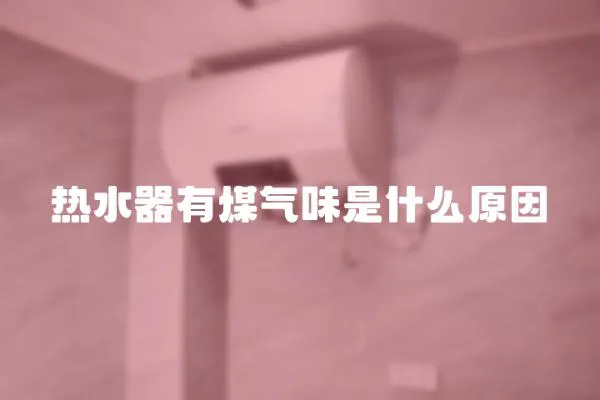 熱水器有煤氣味是什么原因