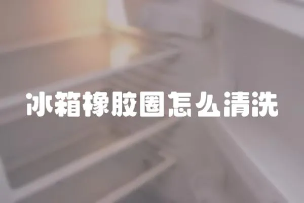冰箱橡膠圈怎么清洗