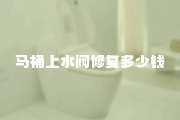 馬桶上水閥修復多少錢