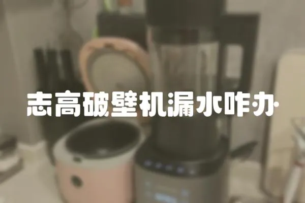 志高破壁机漏水咋办