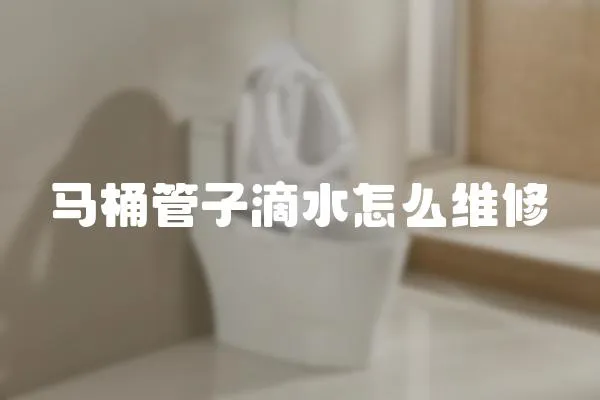 馬桶管子滴水怎么維修