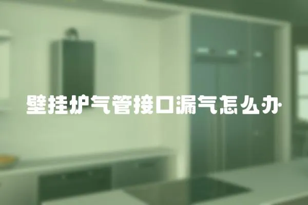 壁掛爐氣管接口漏氣怎么辦