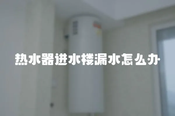 熱水器進水樓漏水怎么辦