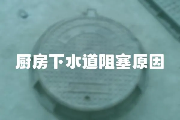 廚房下水道阻塞原因