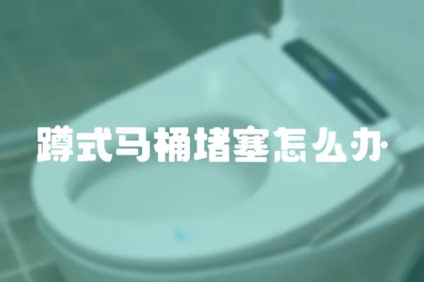 蹲式馬桶堵塞怎么辦