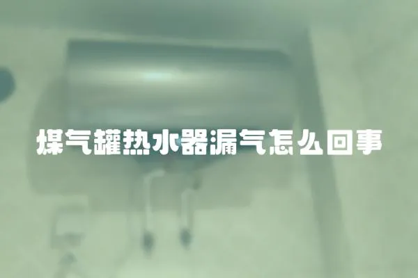 煤氣罐熱水器漏氣怎么回事