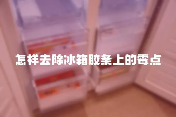 怎樣去除冰箱膠條上的霉點