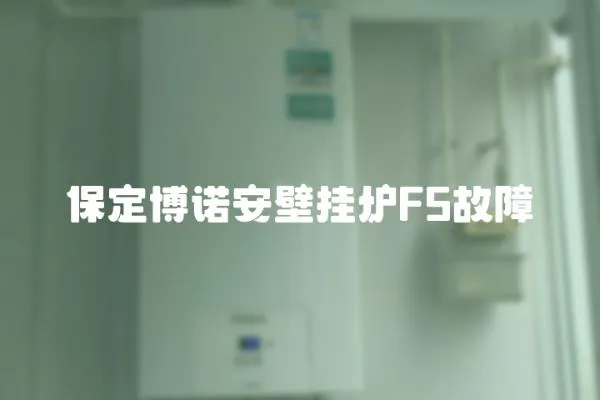 保定博諾安壁掛爐F5故障