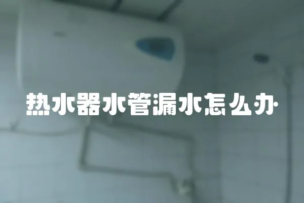 熱水器水管漏水怎么辦