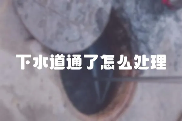 下水道通了怎么處理