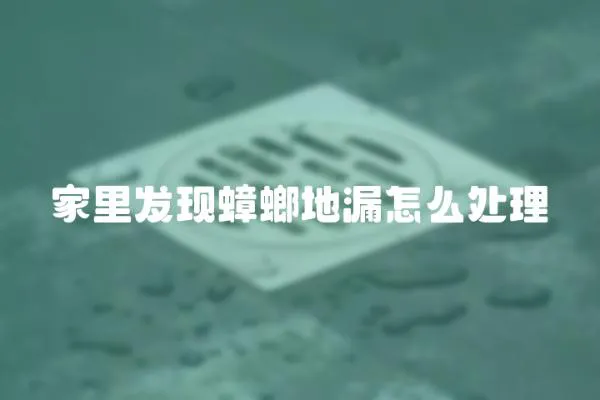 家里發現蟑螂地漏怎么處理