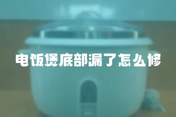 電飯煲底部漏了怎么修