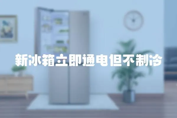 新冰箱立即通電但不制冷
