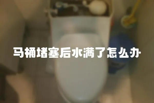 馬桶堵塞后水滿了怎么辦