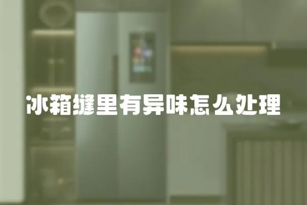 冰箱縫里有異味怎么處理