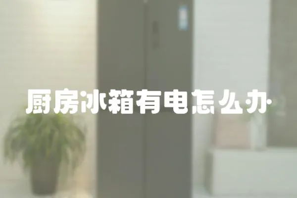 廚房冰箱有電怎么辦