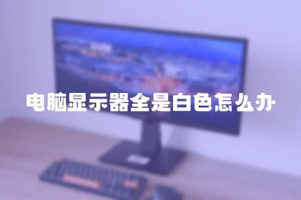 電腦顯示器全是白色怎么辦
