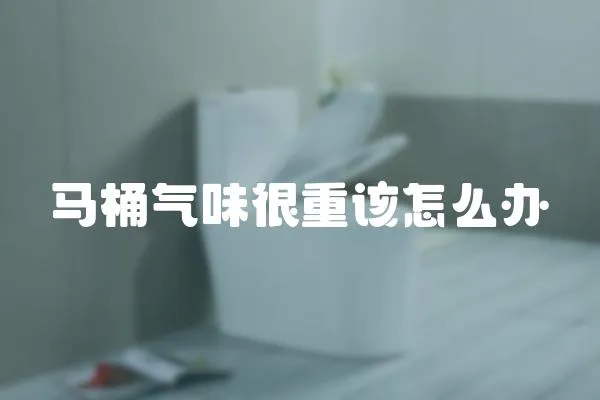 馬桶氣味很重該怎么辦