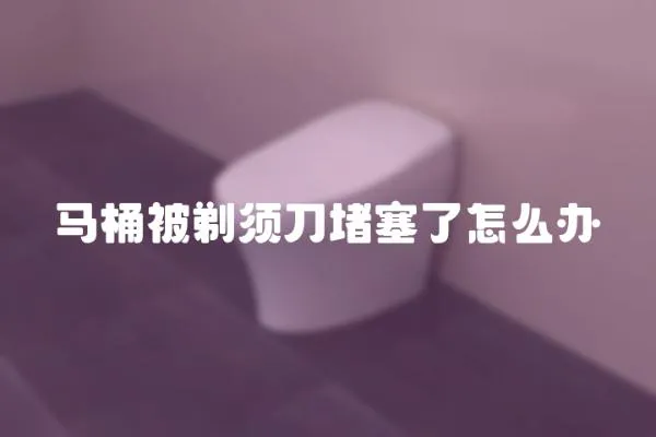 馬桶被剃須刀堵塞了怎么辦