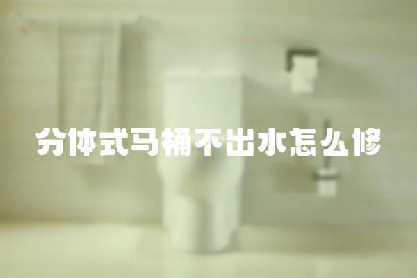 分體式馬桶不出水怎么修