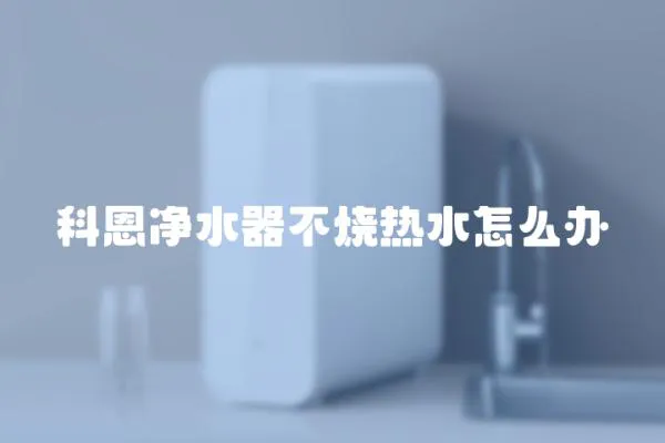 科恩净水器不烧热水怎么办