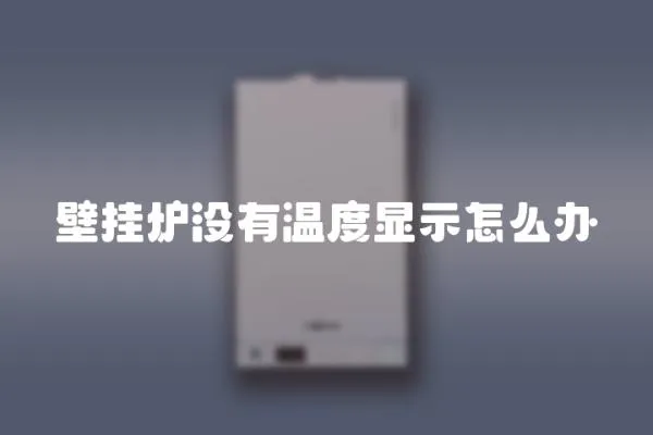 壁掛爐沒有溫度顯示怎么辦
