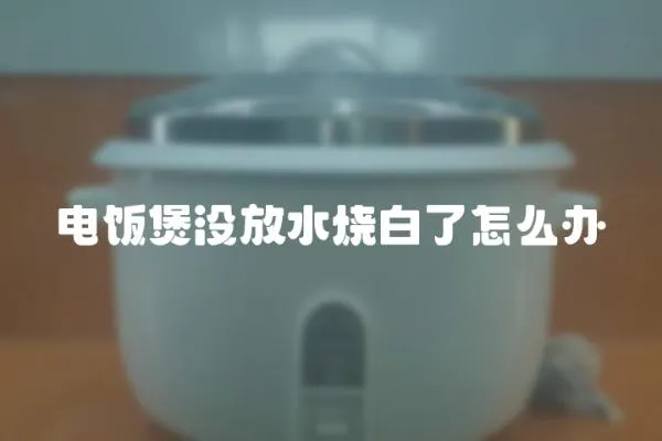 電飯煲沒放水燒白了怎么辦