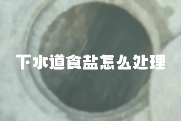 下水道食鹽怎么處理