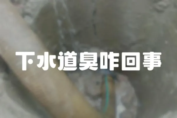 下水道臭咋回事