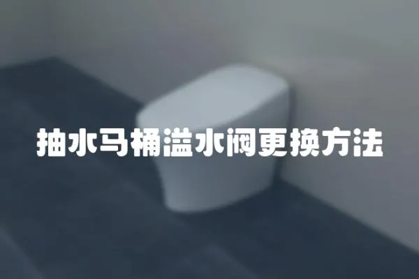 抽水馬桶溢水閥更換方法