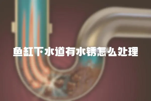 魚缸下水道有水銹怎么處理