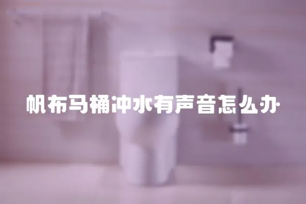 帆布馬桶沖水有聲音怎么辦
