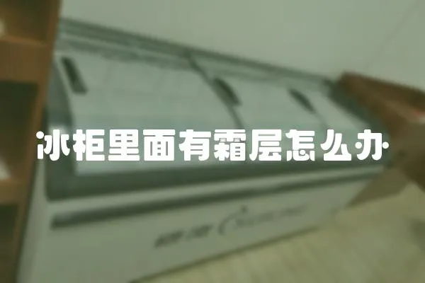 冰柜里面有霜層怎么辦