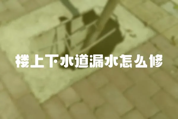 樓上下水道漏水怎么修