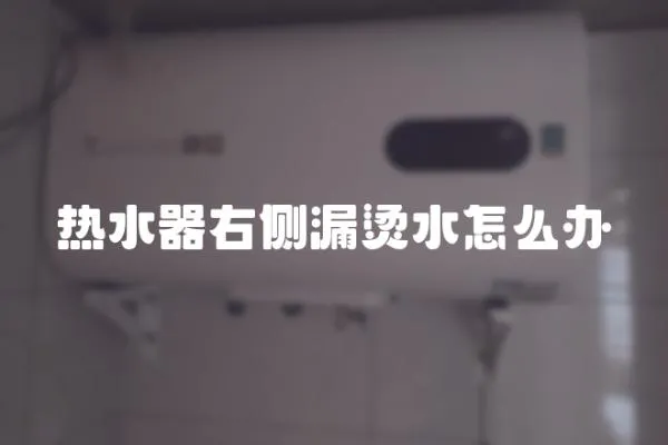 熱水器右側(cè)漏燙水怎么辦