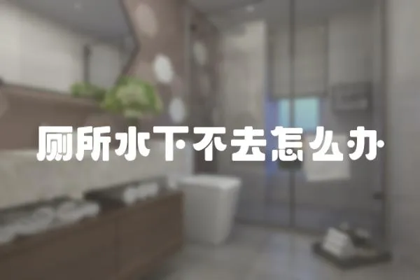 廁所水下不去怎么辦