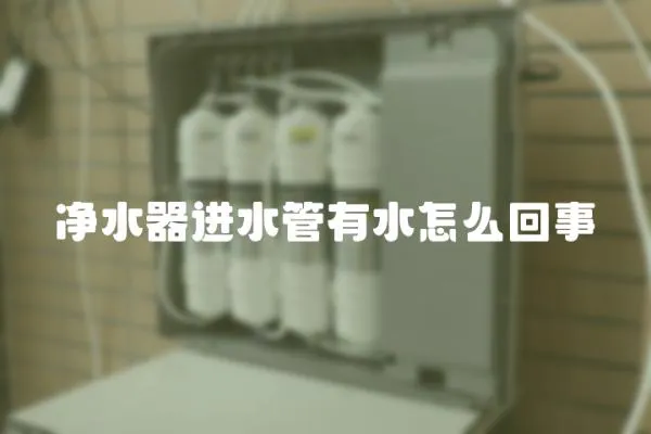 凈水器進水管有水怎么回事
