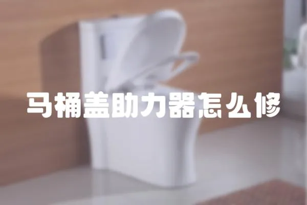 馬桶蓋助力器怎么修