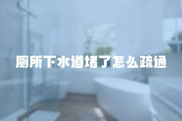 廁所下水道堵了怎么疏通